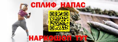 spice Будённовск
